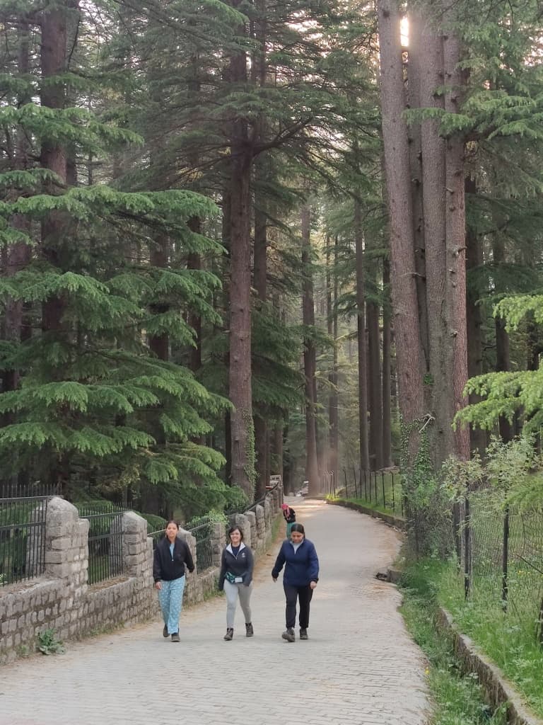 Studio himalayanExpedition deoTibba 6